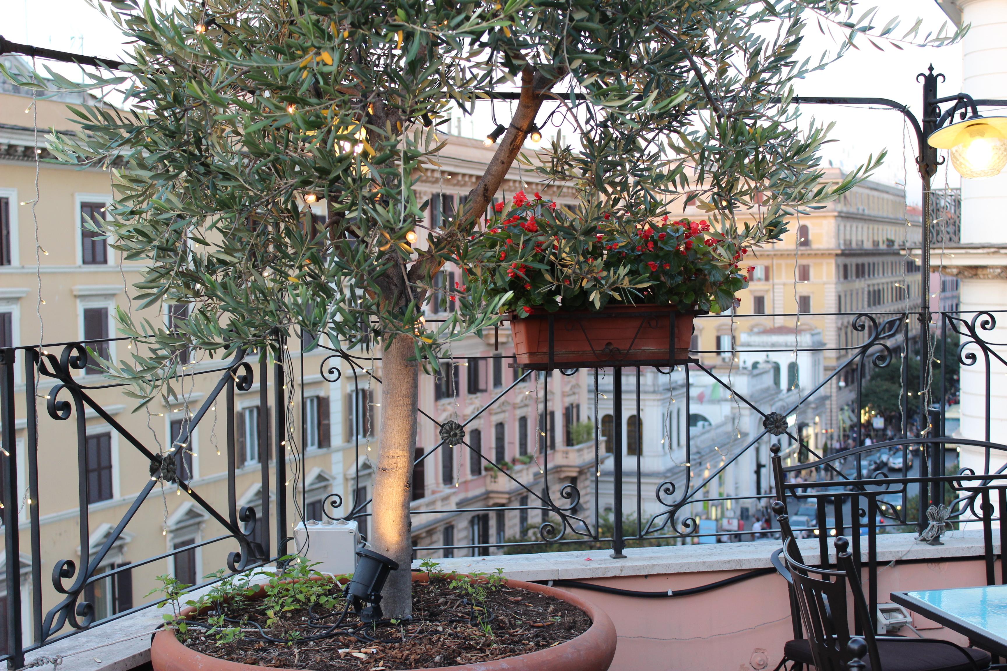 Hotel Dei Consoli Vaticano Рим Экстерьер фото